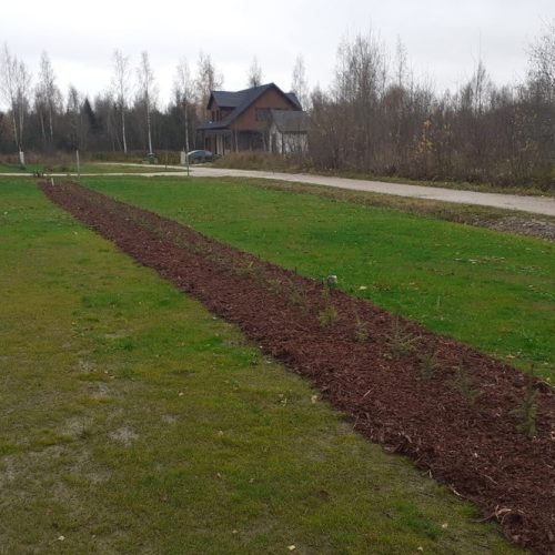 EAA30C1A-1645-4C45-BC67-CA150065555E_1_105_c