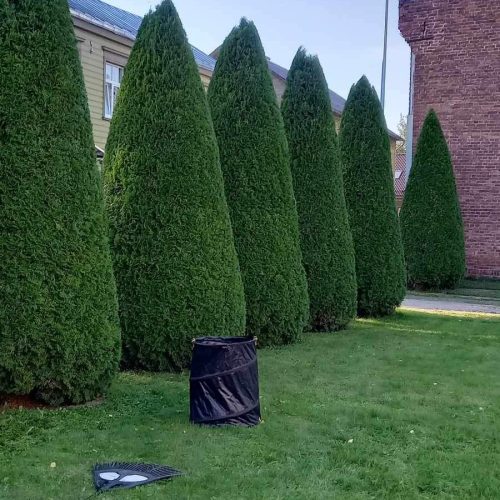 haljastus-elupuude-hooldamine-lõikus