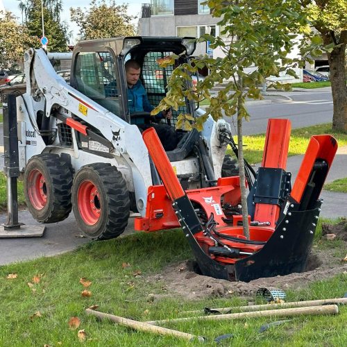 puude-istutamine-linnahaljastus-tartu